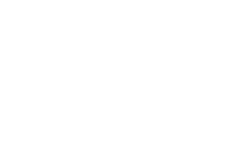 Michael Burgis & Associates, P.C. logo