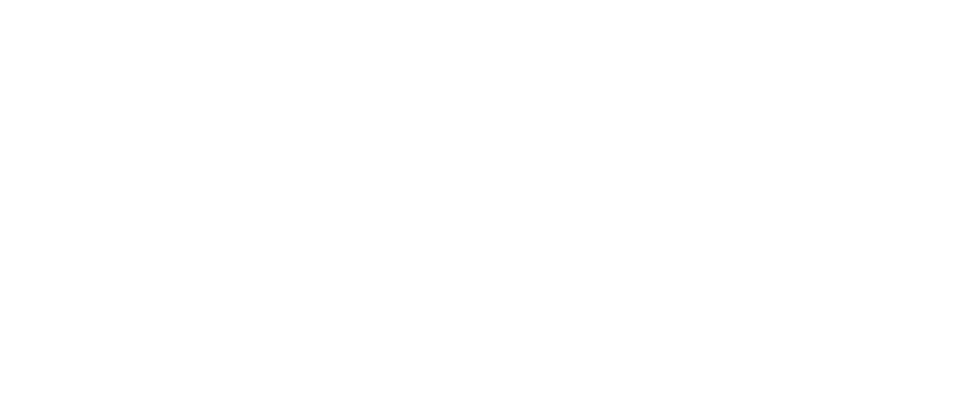CIREM logo