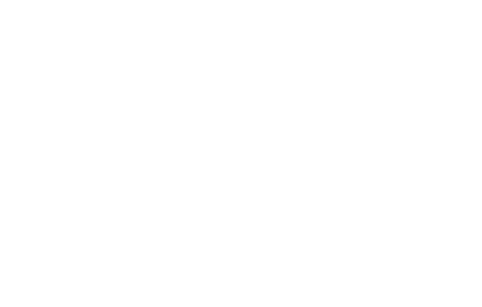 Dunlop logo