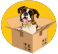 Box City